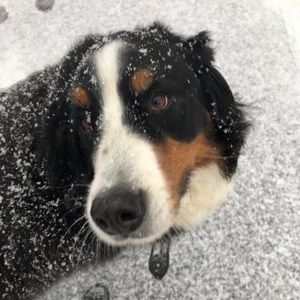 Meet your Posher, Talia